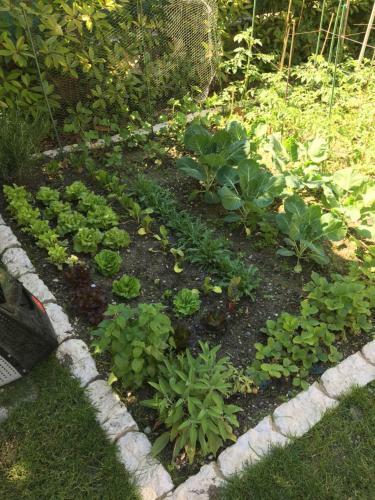 Apartamento Villa Romantika