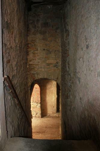 Domus Raame
