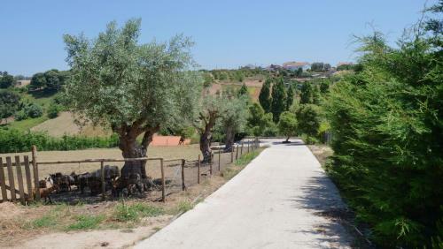 Casa Alfazema, Quinta Carmo - Alcoba�a - Nazar�