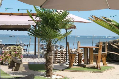 Apartamento Magnifiques Appts � C�t� de La Plage