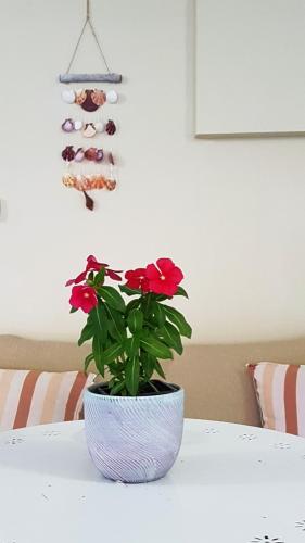 Fyllou Apartment Asprovalta