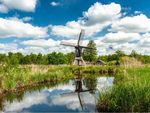 Bed & Breakfast Natuur Lodge