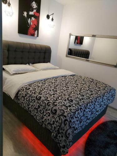 Dream Arena Apartment