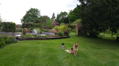 Drinkstone Park Bed And Breakfast