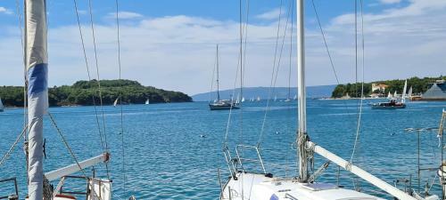 Studio Apartman Loreta