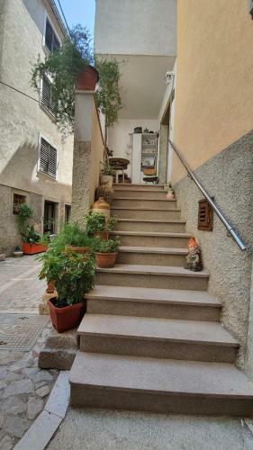 Franceska Apartmani