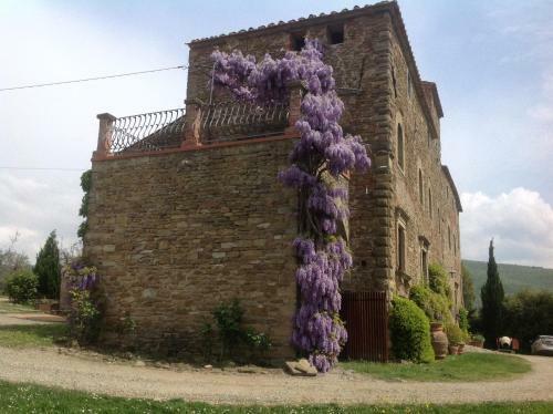Villa Agriturismo Antecchia