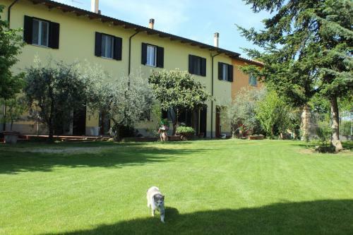 Apartamento Veramaro,accogliente Appartamento In Campagna