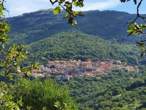 B&B L'agrifoglio