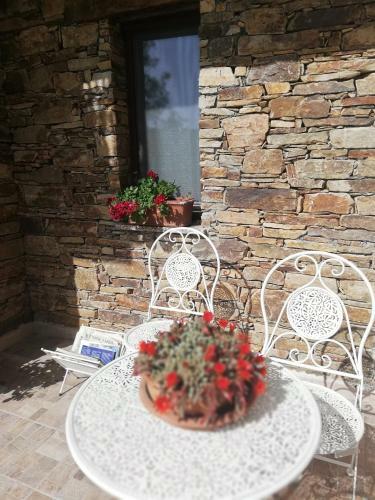 B&B L'agrifoglio