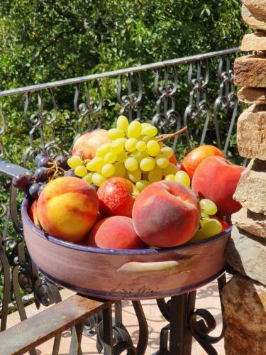 B&B L'agrifoglio