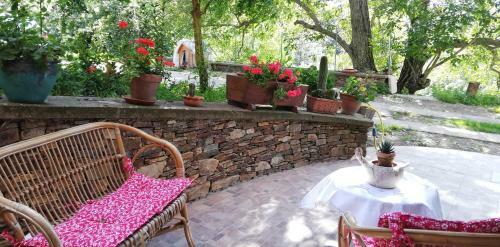 B&B L'agrifoglio