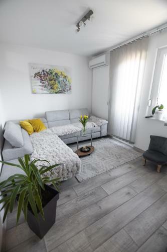 Apartman Iskra