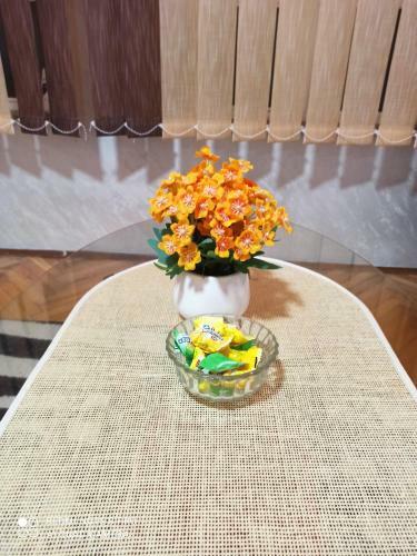 Apartman Trib
