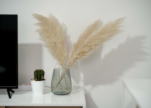 Apartamento Galerija Centar