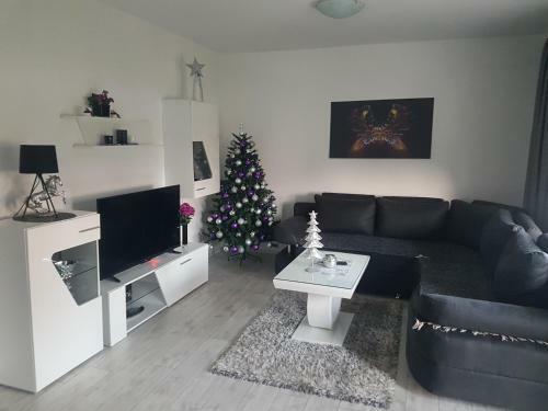 Apartman Dora
