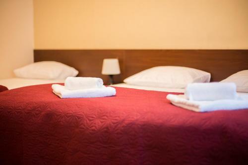 Hostal Alanta "easy Kaunas"
