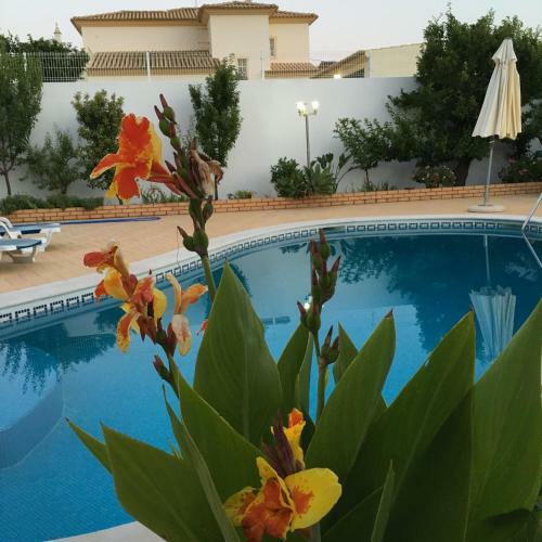 Apartamento Vilabranco