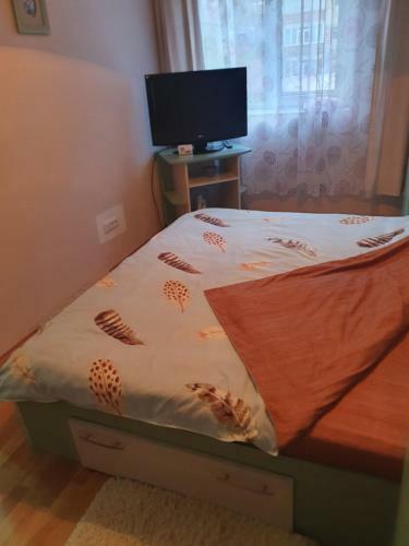 Apartament Strada Trandafirilor