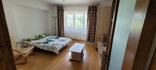 Apartamento Garsoniera Deea B?ile Herculane