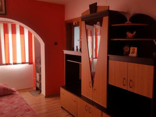 Apartament Central 1