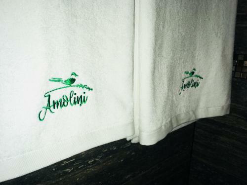 Hostal Amoli?i