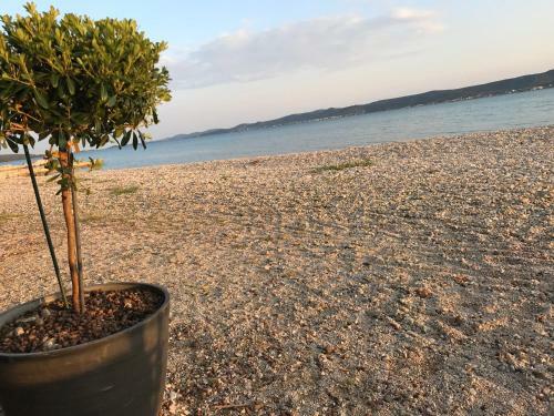 Apartmani Livk