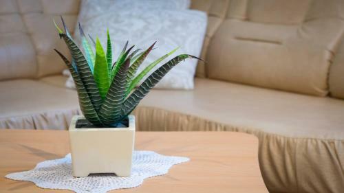 Apartman Sara - Delnice