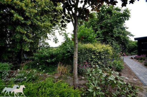 B&B De Konik Bourtange