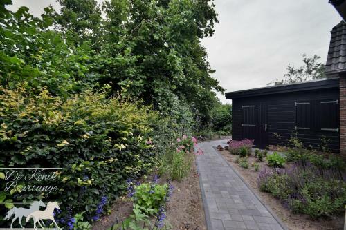 B&B De Konik Bourtange