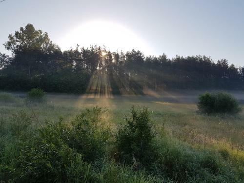 Lodge Domki Drewniane Przysta? Kajaczek