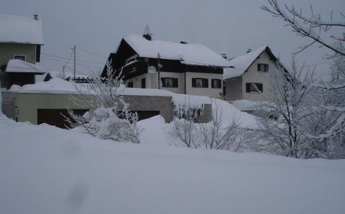 Apartman Ksenija Delnice