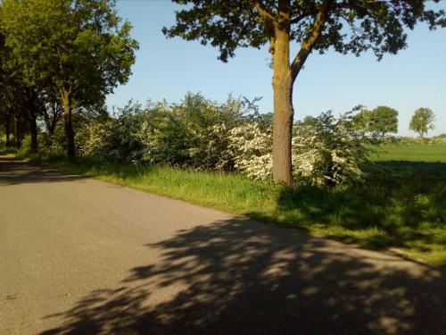 Bed & Breakfast Langs De Maas