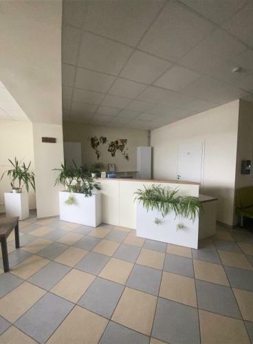 Albergue Ecohotel