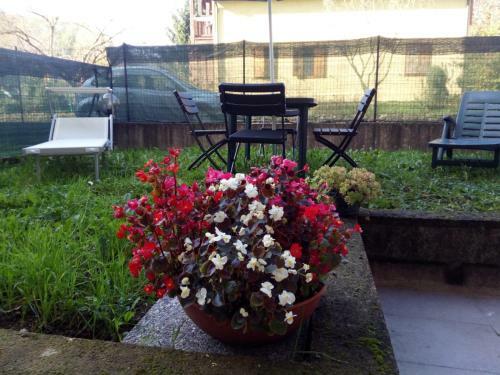 Apartamento Appartamento In Toscana Con Piscina E Giardino