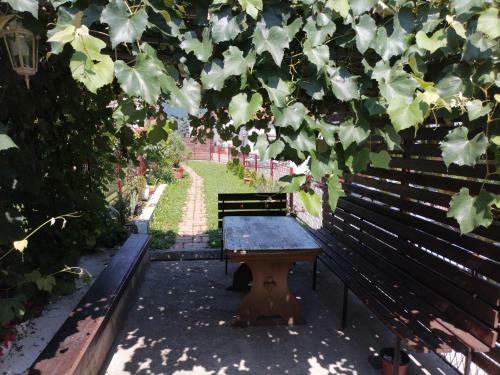 Apartman Spiro