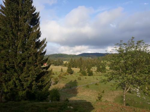Vila Zorana