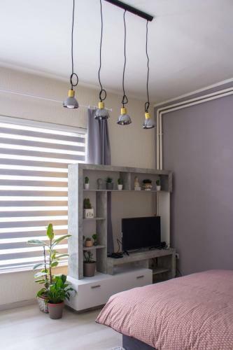 Bb Downtown Apartment