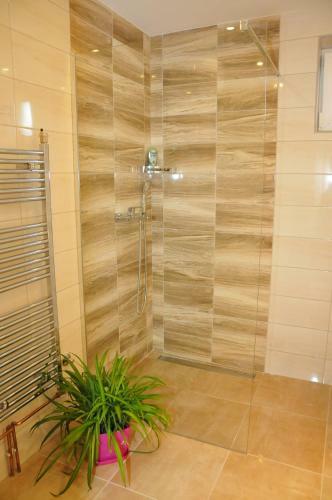 Apartamento Sasa Plus