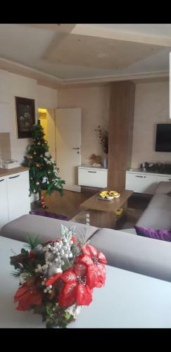 Apartamento Sasa Plus