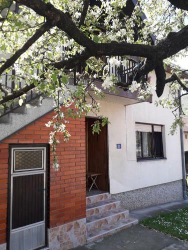 Raki? Apartman