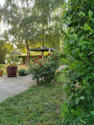 Hostal Apartman Vladimir