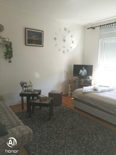 Apartments Ivanovic Bb