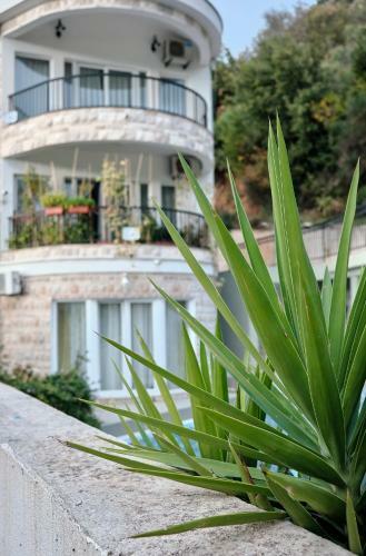 Apartman Ines