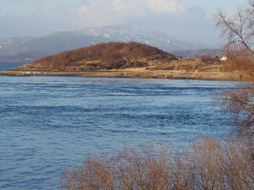 Camp Saltstraumen-elveg�rd