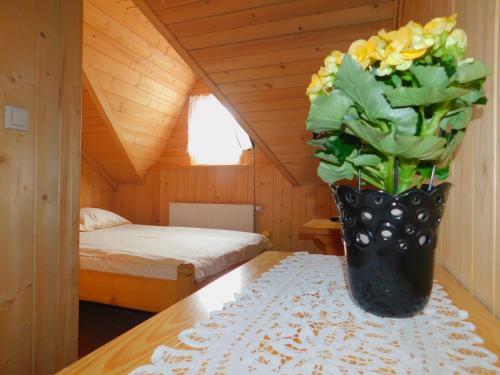 Bed & Breakfast Dom Wypoczynkowy U Kuby