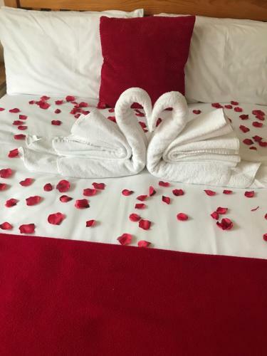 Hostal Eastbourne Reymar