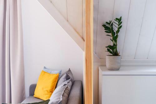 Apartamenty Nova Bia?ka