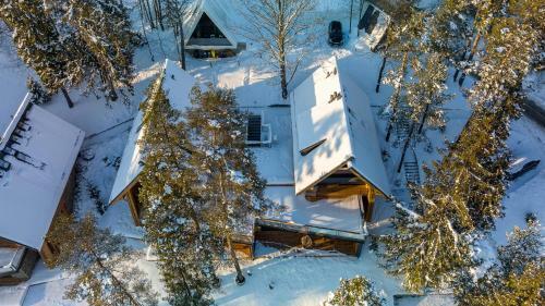 Apartament Widokowy ?y?a