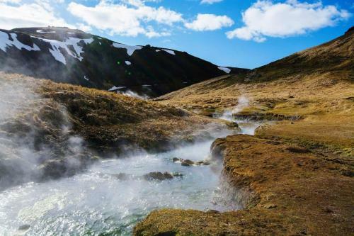 Apartamento Explore Southern Iceland From The Green Cottage